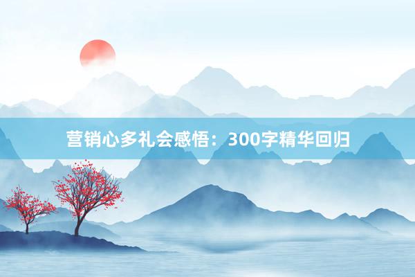 营销心多礼会感悟:300字精华回归