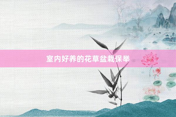 室内好养的花草盆栽保举