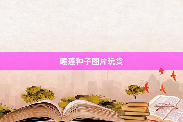 睡莲种子图片玩赏