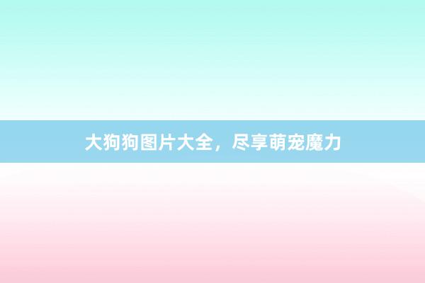 大狗狗图片大全，尽享萌宠魔力
