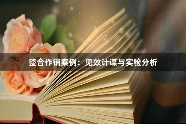 整合作销案例：见效计谋与实验分析